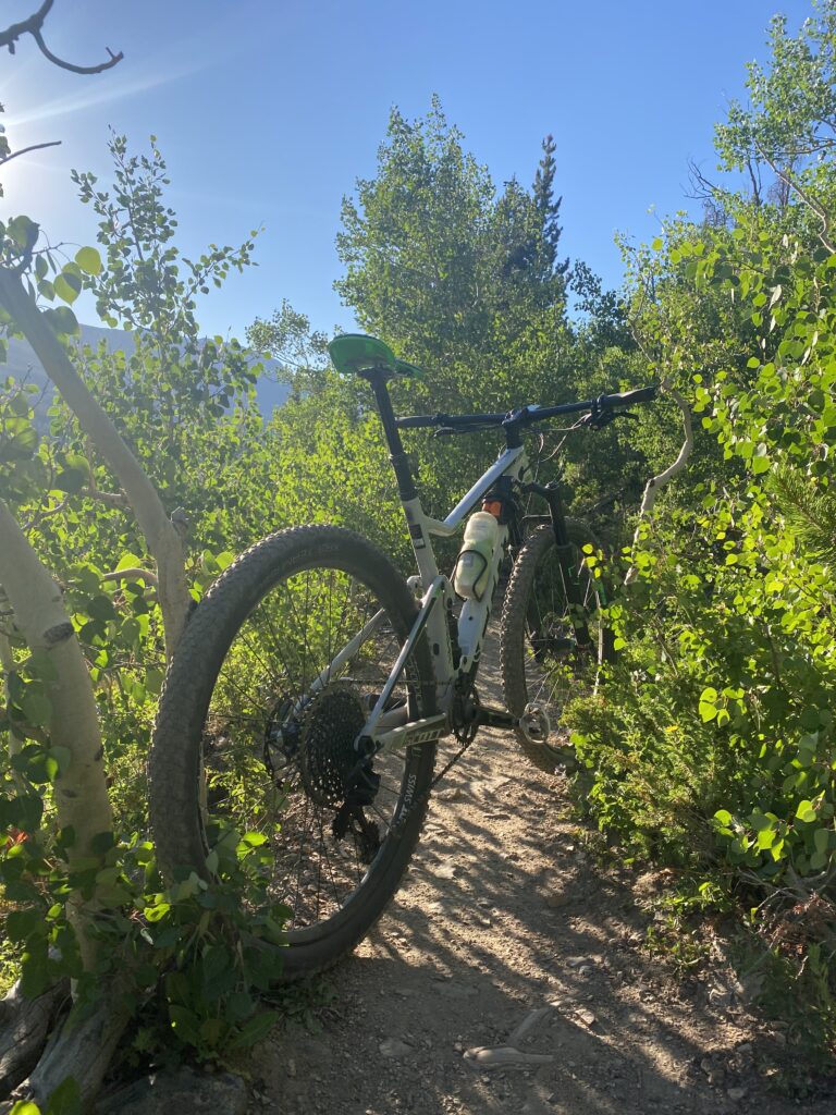 Photo of my mountain bike amongst the aspen trees