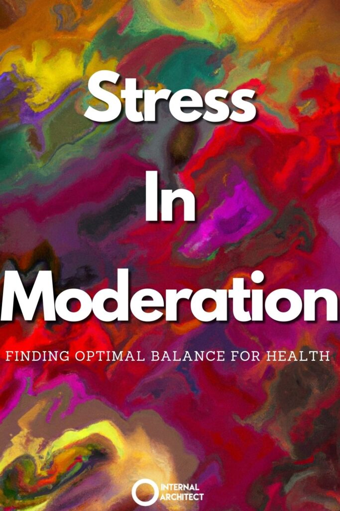 An impressionistic digital oil painting with the text Stress In Moderation